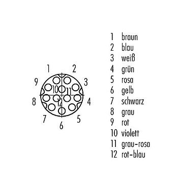 Polbild (Steckseite) M8 Kabeldose, Polzahl: 12, ungeschirmt, am Kabel angespritzt, IP67/IP69K, UL 2238, PUR, schwarz, 12 x 0,09 mm², 5 m