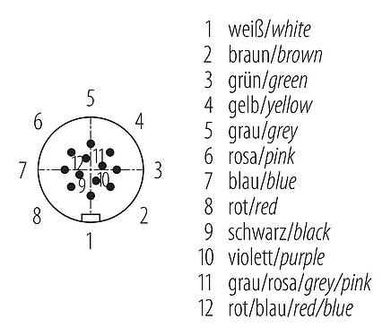 Sắp xếp liên hệ (phía kết nối) Snap-In Phích cắm bẻ góc, Số lượng cực : 12, 4,0-6,0mm, không có chống nhiễu, hàn, IP67