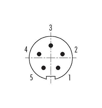 Kontaktarrangemang (anslutningssidan) M9 Kabelplugg, antal poler: 5, 3,5-5,0 mm, kan skärmas, lödning, IP67, med skyddsmanschett