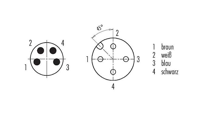 Polbild (Steckseite) M12/M8 Kabelstecker - Winkeldose, Polzahl: 4, ungeschirmt, am Kabel angespritzt, IP67/IP69K, UL 2238, PUR, schwarz, 4 x 0,34 mm², 1 m
