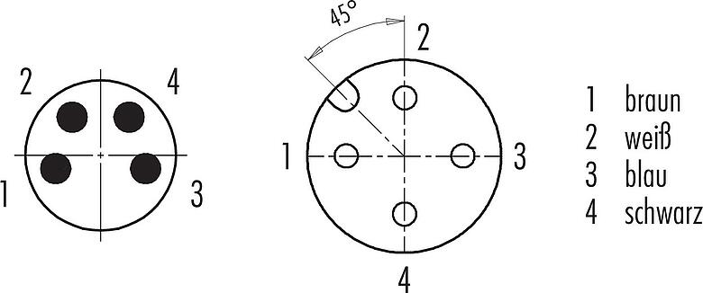 Polbild (Steckseite) M12/M8 Kabeldose - Kabelstecker, Polzahl: 4, ungeschirmt, am Kabel angespritzt, IP67/IP69K, UL 2238, PUR, schwarz, 4 x 0,34 mm², 2 m