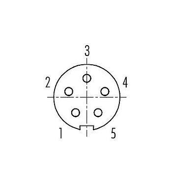 Disposizione dei contatti (lato connessione) 99 0996 100 05 - Baionetta Connettore cavo femmina, Numero poli: 5, 3,0-4,0 mm, non schermato, saldare, IP40