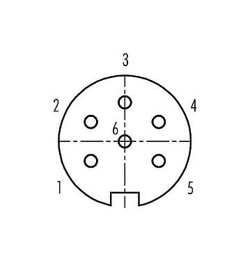 Pólus ábra (csatlakozó oldal) Push Pull panelre szerelhető foglalat, : 6, árnyékolatlan, kézi forrasztású, IP67, M21x1,0, hátsó panel felszerelés