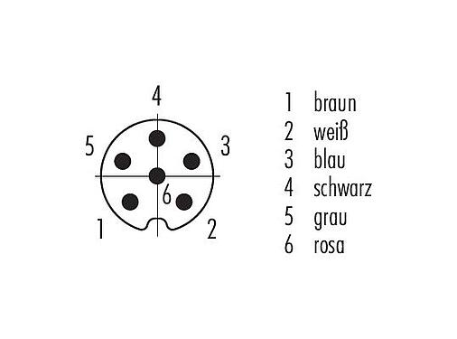 Polbild (Steckseite) M8 Kabelstecker, Polzahl: 6, ungeschirmt, am Kabel angespritzt, IP67/IP69K, UL 2238, PUR, schwarz, 6 x 0,25 mm², Edelstahl, 2 m