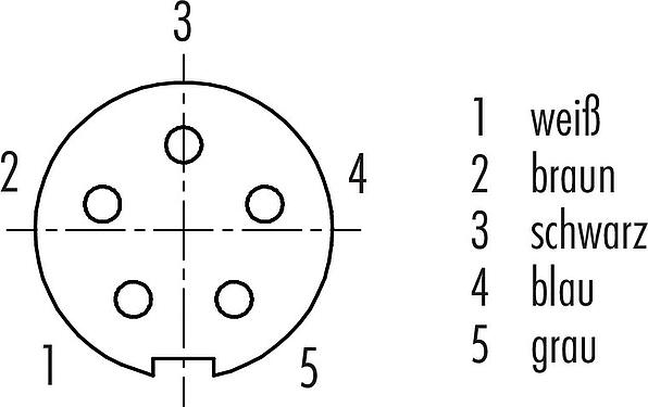 Polbild (Steckseite) M9 Kabeldose, Polzahl: 5, geschirmt, am Kabel angespritzt, IP67, PUR, schwarz, 5 x 0,25 mm², 5 m