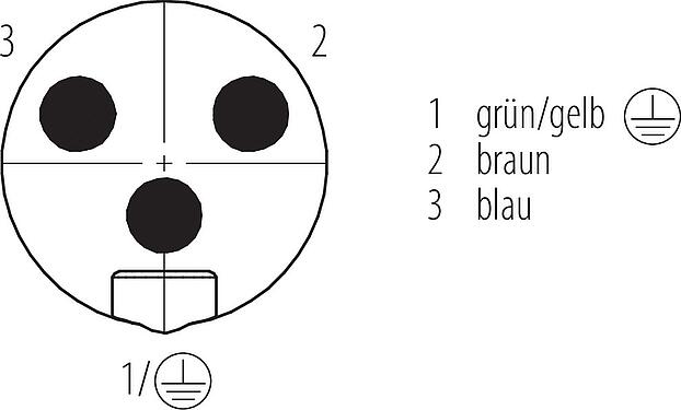 Polbild (Steckseite) 7/8" Flanschstecker, Polzahl: 2+PE, ungeschirmt, Litzen, IP68, UL 2238, VDE, M20x1,5, Frontmontage, vergossen