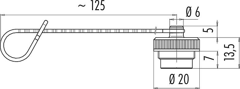 Schaaltekening Beschermkap, IP67, voor kabeldoos