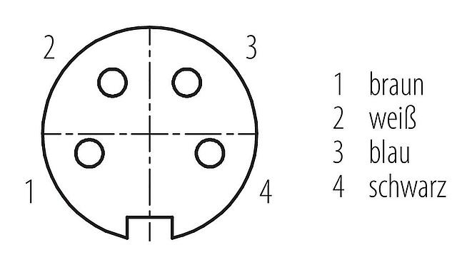 Polbild (Steckseite) M16 Kabeldose, Polzahl: 4, ungeschirmt, am Kabel angespritzt, IP67, PUR, schwarz, 4 x 0,34 mm², 2 m