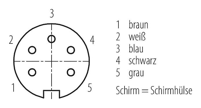 Polbild (Steckseite) M16 Kabeldose, Polzahl: 5, geschirmt, am Kabel angespritzt, IP67, PUR, schwarz, 5 x 0,34 mm², 5 m
