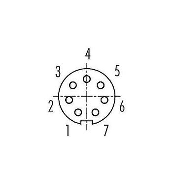 Disposizione dei contatti (lato connessione) 99 0476 102 07 - M9 Connettore cavo femmina, Numero poli: 7, 4,0-5,0 mm, non schermato, saldare, IP40