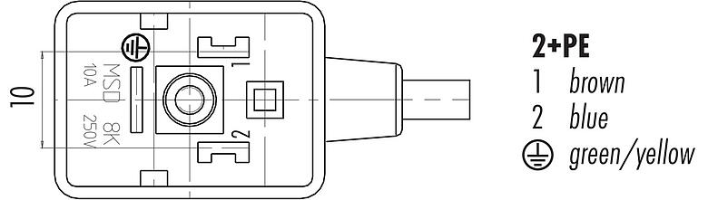 접점 배치(접속측) 32 5339 500 520 - 디자인  B 솔레노이드 밸브 소켓, : 2+PE, 차폐되지 않음, 케이블에 몰딩, IP67, PUR, 회로 Z20, 5m