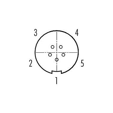 Disposition des contacts (Côté plug-in) 99 4714 00 05 - Push Pull Connecteur femelle, Contacts: 5, 3,0-4,0 mm, non blindé, souder, IP67