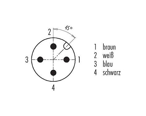 Polbild (Steckseite) 76 0831 0011 00004-0200 - M12 Flanschstecker, Polzahl: 4, ungeschirmt, Litzen, IP68, UL, M16x1,5