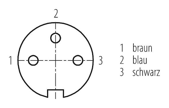 Polbild (Steckseite) M16 Kabeldose, Polzahl: 3, ungeschirmt, am Kabel angespritzt, IP67, PUR, schwarz, 3 x 0,34 mm², 2 m