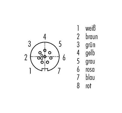 Polbild (Steckseite) Snap-In Kabeldose, Polzahl: 8, ungeschirmt, am Kabel angespritzt, IP67, UL 2238, PUR, schwarz, 8 x 0,25 mm², 2 m