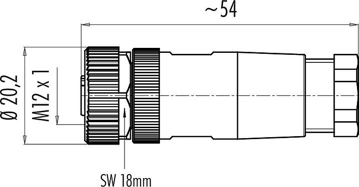 Dibujo a escala M12 Conector de cable hembra, Número de contactos: 5, 6,0-8,0 mm, sin blindaje, tornillo extraíble, IP67