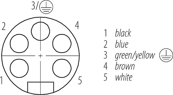 Contactconfiguratie (Insteekbereik) 7/8" Female panel mount connector, aantal polen: 4+PE, onafgeschermd, draden, IP68, UL 2238, VDE, Frontaansluiting, gegoten