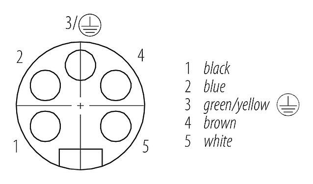 Disposición de los contactos (lado de la conexión) 7/8" Toma de brida, Número de contactos: 4+PE, sin blindaje, hilos, IP68, UL 2238, VDE, PG 11, Montaje frontal, moldeado