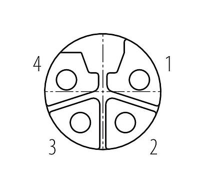 Pólus ábra (csatlakozó oldal) 99 0638 29 04 - M12 kábel aljzat, : 4, 8,0-13,0 mm, árnyékolatlan, csavaros bilincs, IP67, UL 2238, M12x1,0