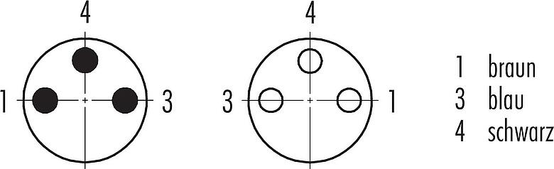 Polbild (Steckseite) M8 Verbindungsleitung Kabelstecker - Kabeldose, Polzahl: 3, ungeschirmt, am Kabel angespritzt, IP67/IP69K, UL 2238, PUR, schwarz, 3 x 0,34 mm², 2 m