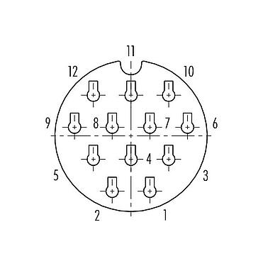 Polbild (Steckseite) Bajonett Kabeldose, Polzahl: 12, 7,0-13,0 mm, ungeschirmt, crimpen (Crimpkontakte müssen separat bestellt werden), IP68/IP69K, UL 2238, VDE, UV-Beständig