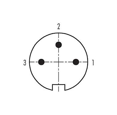 Contact arrangement (Plug-in side) 09 4807 80 03 - Push Pull Male panel mount connector, Contacts: 3, unshielded, solder, IP67, Front mounting