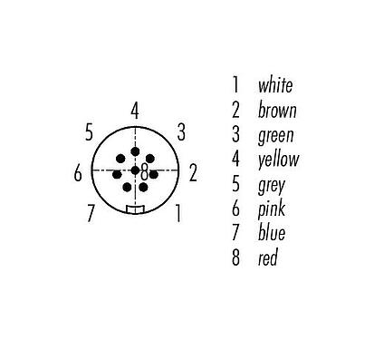 Disposition des contacts (Côté plug-in) Snap-In Connecteur mâle, Contacts: 8, non blindé, surmoulé sur le câble, IP67, UL 2238, PUR, noir, 8 x 0,25 mm², 2 m