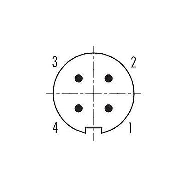 Koskettimien järjestys (plug in -puoli) 99 0409 115 04 - M9 Kaapelipistoke, Napojen määrä: 4, 4,0-5,5 mm, suojattavissa, juotos, IP67