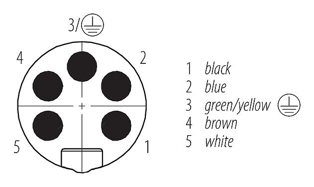 Disposición de los contactos (lado de la conexión) 7/8" Enchufe de brida, Número de contactos: 4+PE, sin blindaje, hilos, IP68, UL 2238, VDE, PG 11, Montaje frontal, moldeado
