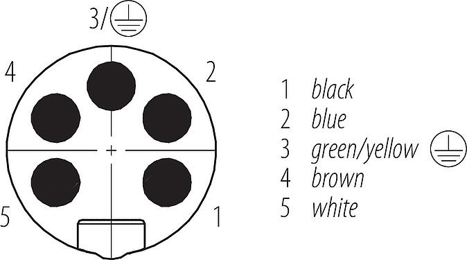 Contactconfiguratie (Insteekbereik) 7/8" Kabelstekker, aantal polen: 5, onafgeschermd, aan de kabel aangegoten, IP68, UL 2238, PUR, zwart, 5 x 1,50 mm², 10 m