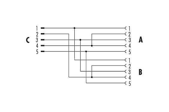 Pin assignment plans M12 Twin distributors, Y-distributor, male connector - 2 female connector, Contacts: 5, unshielded, pluggable, IP68, UL 2238