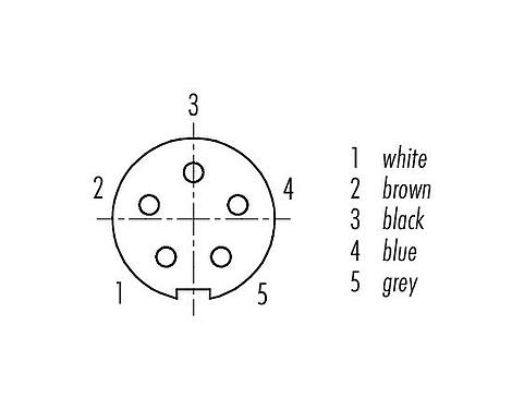 觸點排列 M9 直頭孔頭電纜連接器, : 5, 非遮罩, 預鑄電纜, IP67, PUR, 黑色, 5x0.25mm², 5m