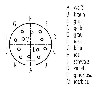 Polbild (Steckseite) M16 Winkeldose, Polzahl: 12, ungeschirmt, am Kabel angespritzt, IP67, PUR, schwarz, 12 x 0,25 mm², 2 m