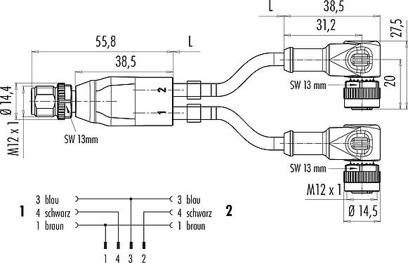 Maßzeichnung M12 Kabelsplitter Kabelstecker - 2 Winkeldosen, Polzahl: 4/3, ungeschirmt, am Kabel angespritzt, IP68, UL 2238, PUR, schwarz, 3 x 0,34 mm², 2 m