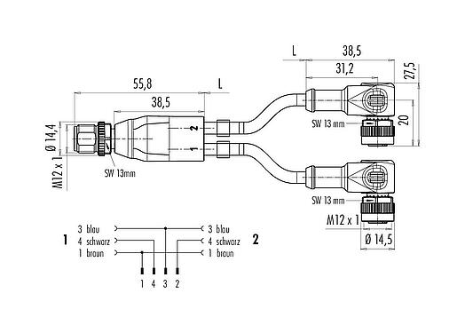 Maßzeichnung M12 Kabelsplitter Kabelstecker - 2 Winkeldosen, Polzahl: 4/3, ungeschirmt, am Kabel angespritzt, IP68, UL 2238, PUR, schwarz, 3 x 0,34 mm², 2 m