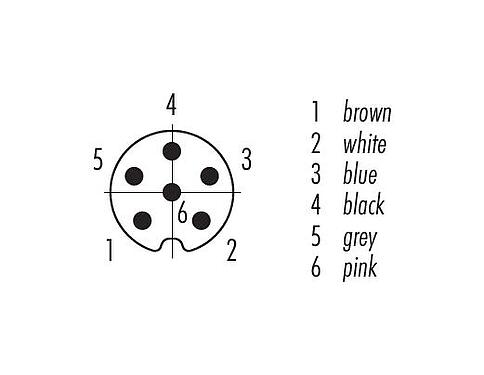 Disposizione dei contatti (lato connessione) M8 Connettore cavo maschio, Numero poli: 6, non schermato, stampato sul cavo, IP67/IP69K, UL 2238, PUR, nero, 6 x 0,25 mm², 5 m