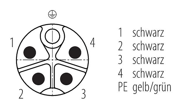 Polbild (Steckseite) M12 Flanschstecker, Polzahl: 5, ungeschirmt, Litzen, IP68, UL 2238, M16x1,5, Frontmontage, vergossen
