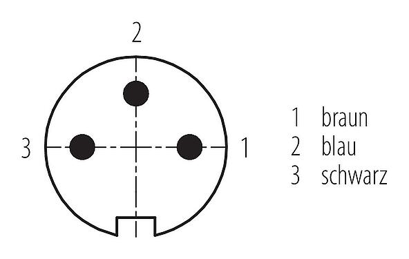 Polbild (Steckseite) M16 Kabelstecker, Polzahl: 3, ungeschirmt, am Kabel angespritzt, IP67, PUR, schwarz, 3 x 0,34 mm², 2 m
