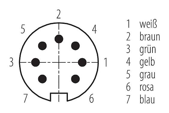 Polbild (Steckseite) M16 Kabelstecker, Polzahl: 7 (07-b), ungeschirmt, am Kabel angespritzt, IP67, PUR, schwarz, 8 x 0,25 mm², 5 m