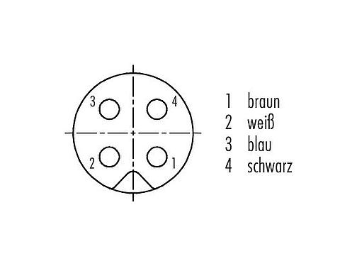 Polbild (Steckseite) M5 Flanschdose, Polzahl: 4, ungeschirmt, Litzen, IP67, M5x0,5, Frontmontage, vergossen