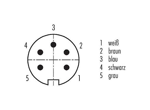 Polbild (Steckseite) M16 Winkelstecker, Polzahl: 5 (05-a), geschirmt, am Kabel angespritzt, IP67, PUR, schwarz, 5 x 0,25 mm², 2 m