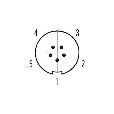 Kontaktarrangemang (anslutningssidan) 99 4713 00 05 - Push Pull Kabelplugg, antal poler: 5, 3,0-4,0 mm, oskärmad, lödning, IP67