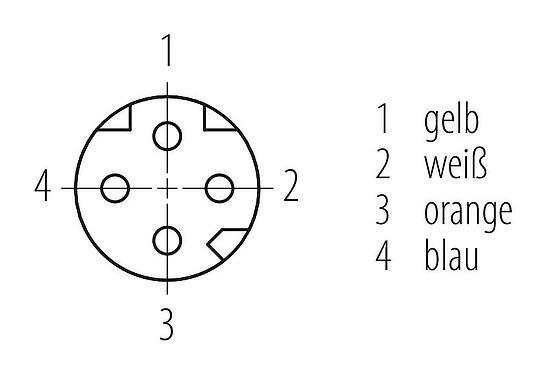 Polbild (Steckseite) M8 Kabeldose, Polzahl: 4, geschirmt, am Kabel angespritzt, IP67, Profinet/Ethernet CAT5e, PUR, grün, 4 x AWG 22, 5 m