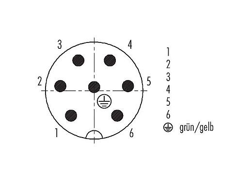 Polbild (Steckseite) 79 0237 20 07 - RD24 Winkelstecker, Polzahl: 6+PE, ungeschirmt, am Kabel angespritzt, IP67, PVC, schwarz, 7 x 0,75 mm², 2 m