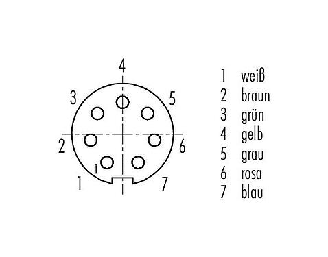 Polbild (Steckseite) M9 Kabeldose, Polzahl: 7, geschirmt, am Kabel angespritzt, IP67, PUR, schwarz, 8 x 0,14 mm², 5 m