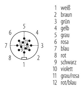 Polbild (Steckseite) Snap-In Kabelstecker, Polzahl: 12, ungeschirmt, am Kabel angespritzt, IP67, UL 2238, PUR, schwarz, 12 x 0,25 mm², 2 m