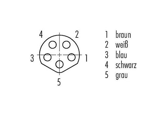 Polbild (Steckseite) M8 Kabeldose, Polzahl: 5, ungeschirmt, am Kabel angespritzt, IP65, PUR, schwarz, 5 x 0,34 mm², Snap-in Version, 2 m