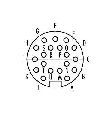 Polbild (Steckseite) Push Pull Kabeldose, Polzahl: 19, 4,0-8,0 mm, schirmbar, löten, IP67