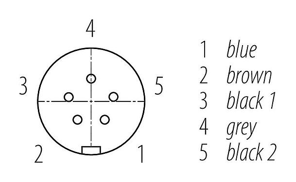 Kontaktarrangemang (anslutningssidan) Snap-In Kabeluttag, antal poler: 5, oskärmad, fastgjuten på kabeln, VDE, PUR, 5 x 0,75 mm², 2 m