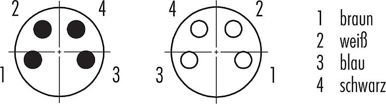 Polbild (Steckseite) M8 Verbindungsleitung Kabelstecker - Kabeldose, Polzahl: 4, ungeschirmt, am Kabel angespritzt, IP67/IP69K, UL 2238, PUR, schwarz, 4 x 0,34 mm², 2 m